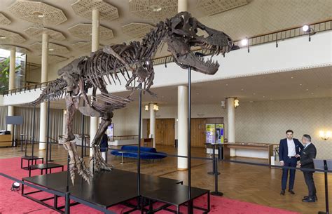 t rex sold at auction.